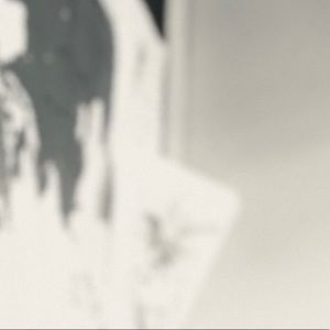 Meet your Posher, Abdi